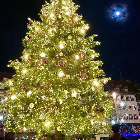 Bel Cosy A * Strasbourg